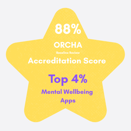 88% ORCHA BASELINE REVIEW SCORE-3